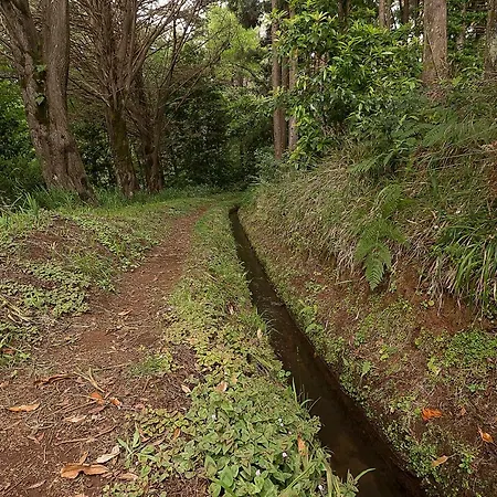 Appartement Captain's House